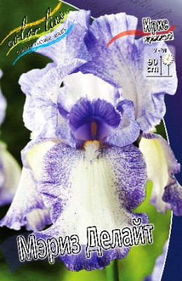 Ирис Германский Мэриз Делайт (2шт) 4727