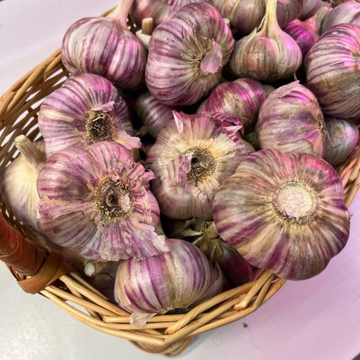 Чеснок головка Юбилейный Грибовский озимый (калибр 5) 1кг