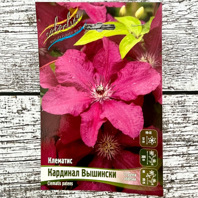 Клематис КАРДИНАЛ ВЫШИНСКИ (3 группа обрезки)