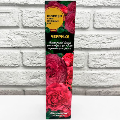 Роза чайно-гибридная ЧЕРРИ-О