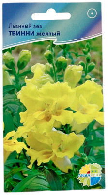 Львиный зев ТВИННИ ЖЕЛТЫЙ АКВАРЕЛЬ
