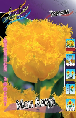 Тюльпан Мон Амур (1шт) 3401