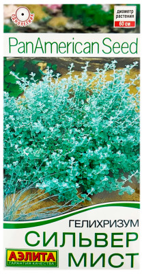 Гелихризум СИЛЬВЕР МИСТ АЭЛИТА