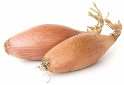 лук Севок Бамбергер Голландия