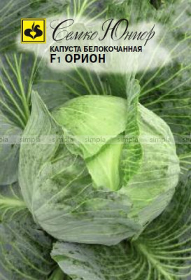 Капуста б/к Орион F1