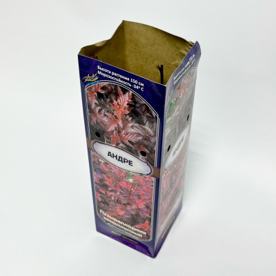 Пузыреплодник Андре