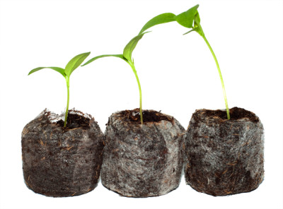 Таблетка Jiffy-7 44мм торф. Норвегия