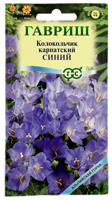 Колокольчик карпатский кампанула СИНИЙ ГАВРИШ