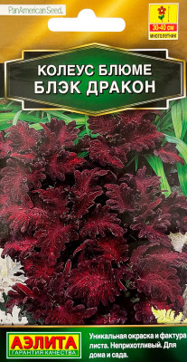 Колеус блюме Блэк дракон 10шт