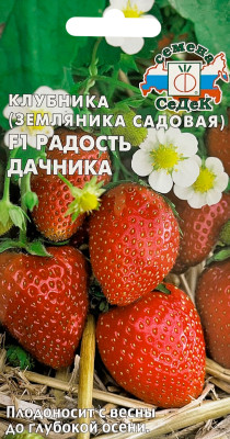 Земляника Радость Дачника F1