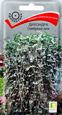 Дихондра Серебряные нити 5шт