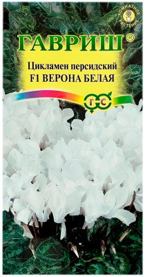 Цикламен персидский ВЕРОНА БЕЛАЯ ГАВРИШ