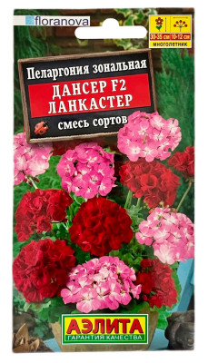 Пеларгония зональная дансер F2 ЛАНКАСТЕР СМЕСЬ СОРТОВ АЭЛИТА Пеларгония зональная дансер F2 ЛАНКАСТЕР СМЕСЬ СОРТОВ АЭЛИТА