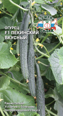 огурец Пекинский Вкусный F1 (евро, 0,2; 7303) огурец Пекинский Вкусный F1 (евро, 0,2; 7303)