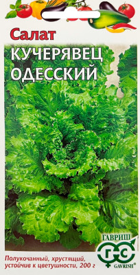 Салат Кучерявец Одесский 0,5 г хрустящий сер. Традиция Салат Кучерявец Одесский 0,5 г хрустящий сер. Традиция