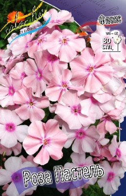 Флокс Роза Пастель (2шт)