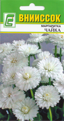 Маргаритка Чайка 0,1г