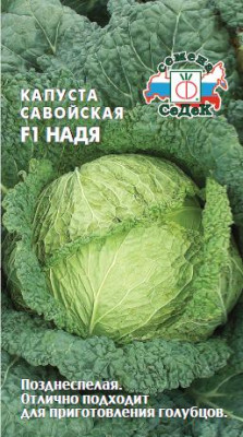 капуста Надя (САВ) (Евро, 1) капуста Надя (САВ) (Евро, 1)