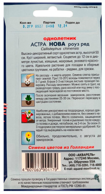 Астра Нова (роуз ред)