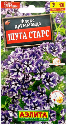 Флокс друммонда ШУГА СТАРС АЭЛИТА