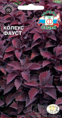Колеус Фауст 0,1г