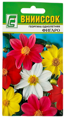 Георгина однолетняя ФИГАРО ВНИИССОК