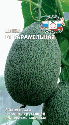 дыня Карамельная F1