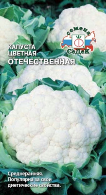 капуста Отечественная (ЦВ)