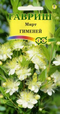 Мирт Гименей 5 шт Н11 Мирт Гименей 5 шт Н11