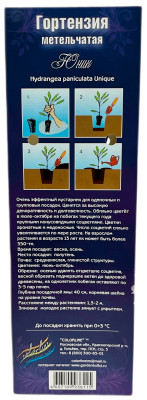 Гортензия метельчатая Юник (С1)