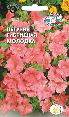 Петуния Молодка F1 низкорослая лососевая