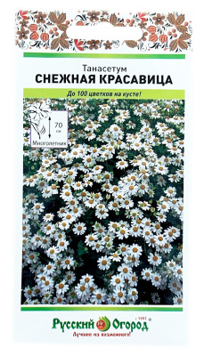 Танасетум снежная красавица Русский Огород