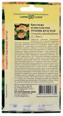 Кроссандра волнистолистная ТРОПИК КРАСНАЯ ГАВРИШ описание