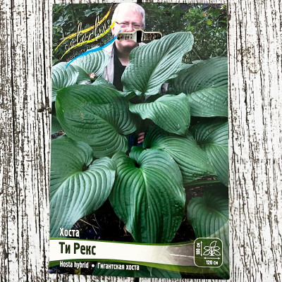 Хоста ТИ РЕКС