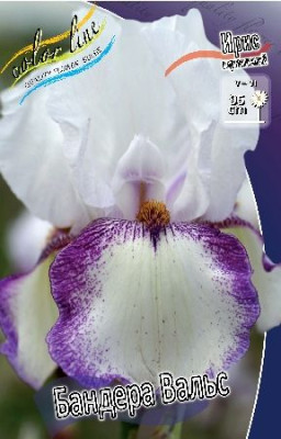 Ирис Германский Бандера Вальс (1шт) 4094