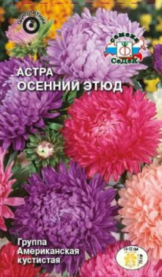 Астра Осенний этюд (смесь американская)
