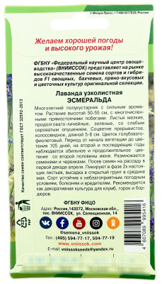 Лаванда Эсмеральда ВНИИССОК описание