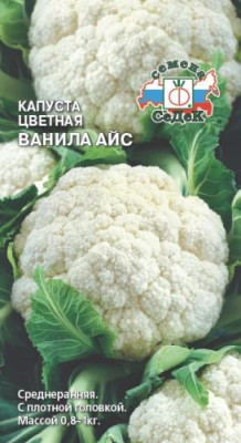 Капуста цв. Ванила Айс