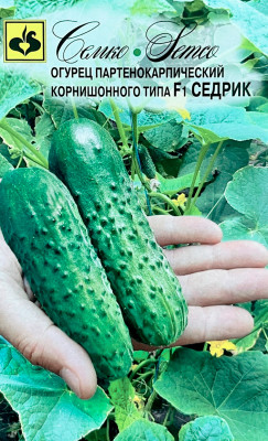 Огурец Седрик F1 СЕМКО