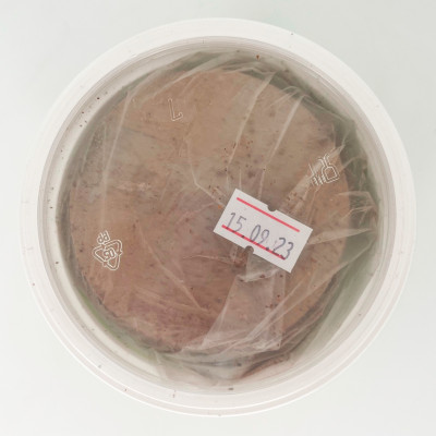 Шашка табачная Вулкан дымовая шашка для теплиц 200г