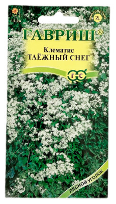 Клематис ТАЕЖНЫЙ СНЕГ ГАВРИШ