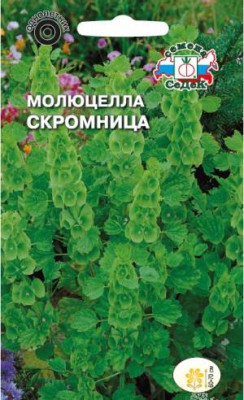 Молюцелла Скромница гладкая