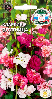 Кларкия изящная Спутница (низкорослая смесь)