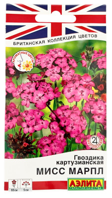 Гвоздика картузианская МИСС МАРПЛ АЭЛИТА