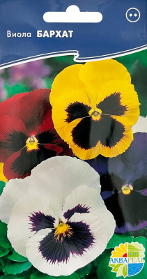 Виола Бархат свис гиантс велвет АКВАРЕЛЬ