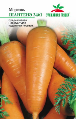 Морковь Шантанэ 2461 УГ
