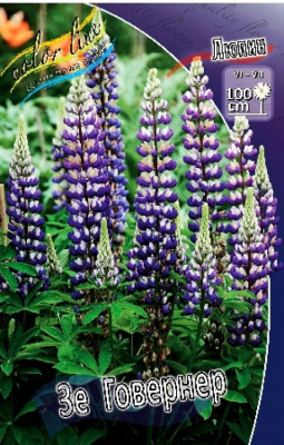 Люпин Зе Говернер (1шт) 119