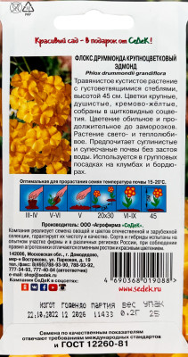 Флокс Эдмонд друммонда