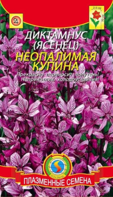 Диктамнус Неопалимая Купина*