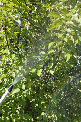 Опрыскиватель Туман складной ОГ-303М